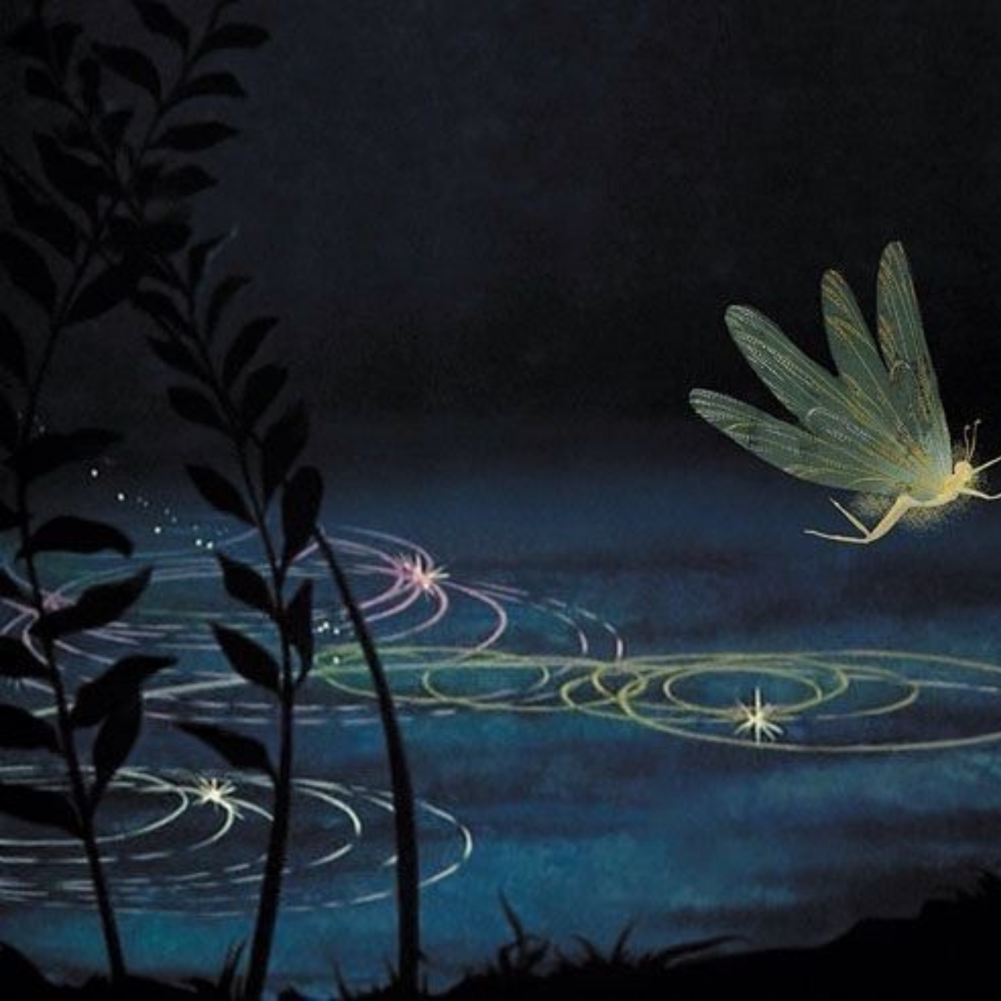 'eucalyptus' soy candle