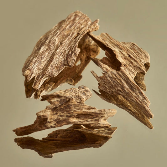 'leather + tobacco + teakwood' soy candle