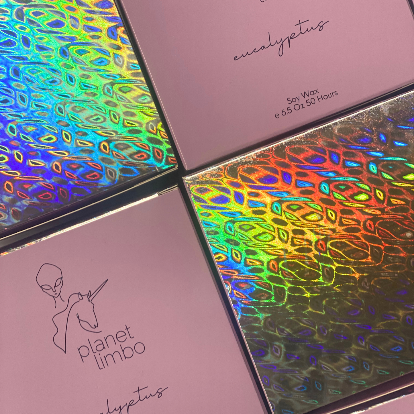 'eucalyptus' soy candle